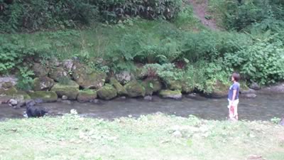 素晴らしい川