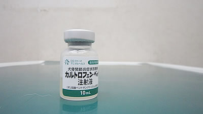 コラム写真