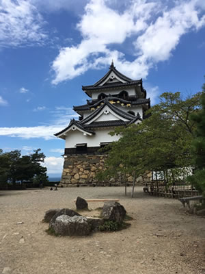 コラム写真