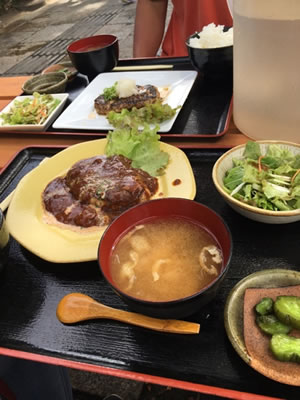 コラム写真