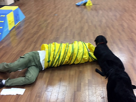 コラム写真