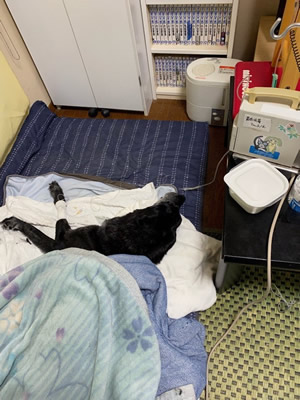 コラム写真