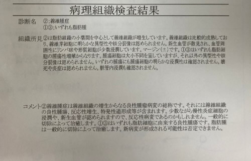 コラム写真