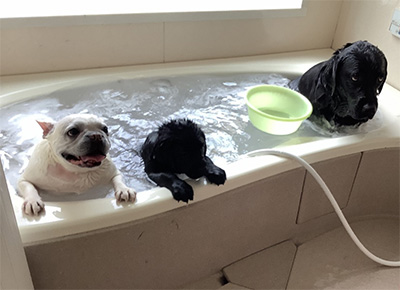 コラム写真