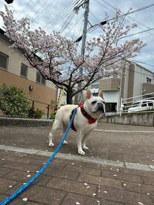 コラム写真