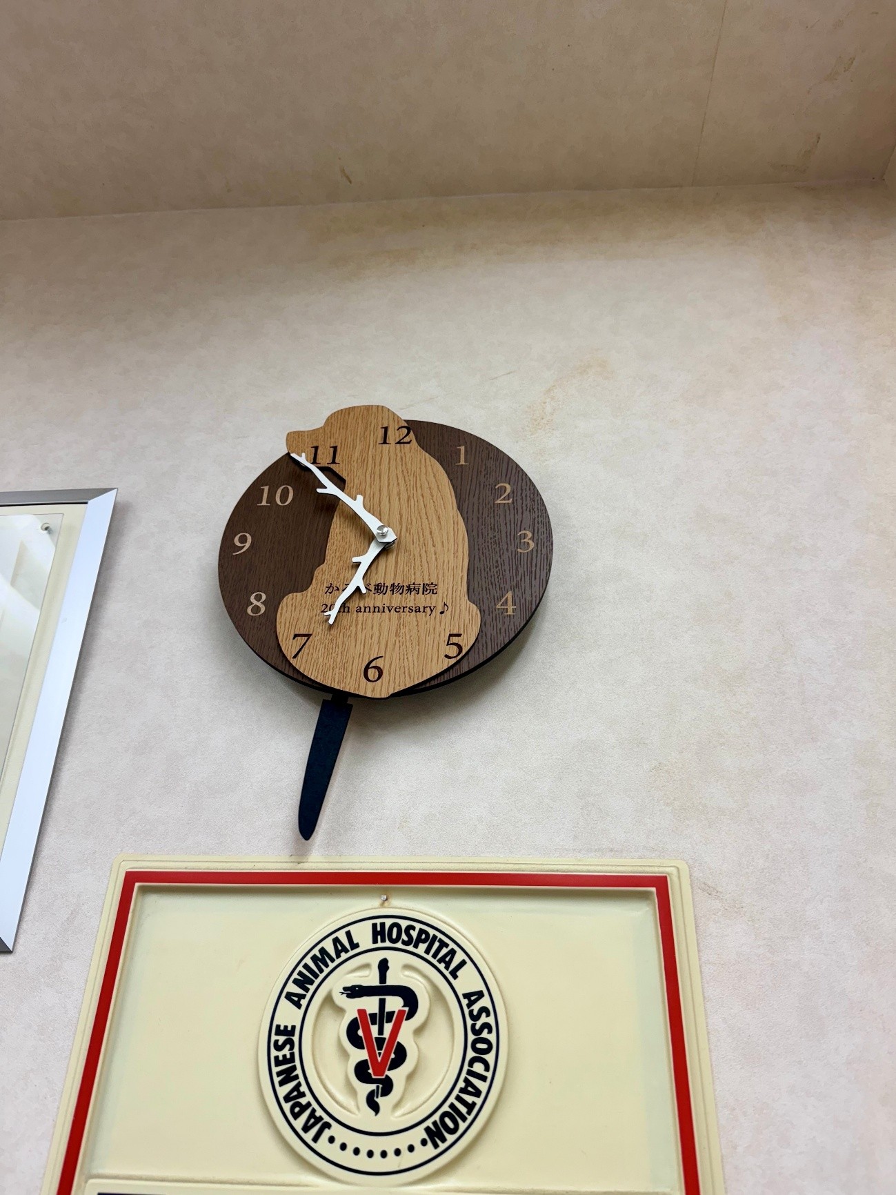 �R�����ʐ^