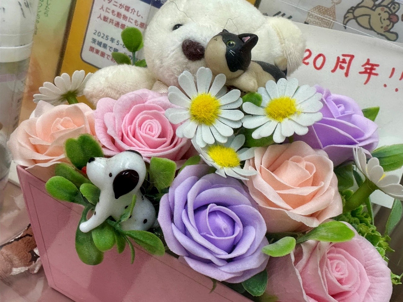 �R�����ʐ^