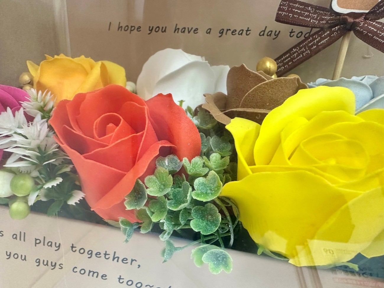 �R�����ʐ^